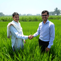 Farmers agreeing a deal in a paddy field